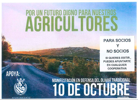 Manifestación en defensa del olivar tradicional - 10 Octubre