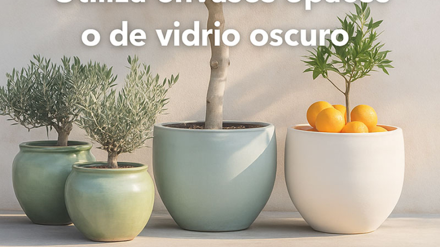 aove_conservacin_calidad_envase