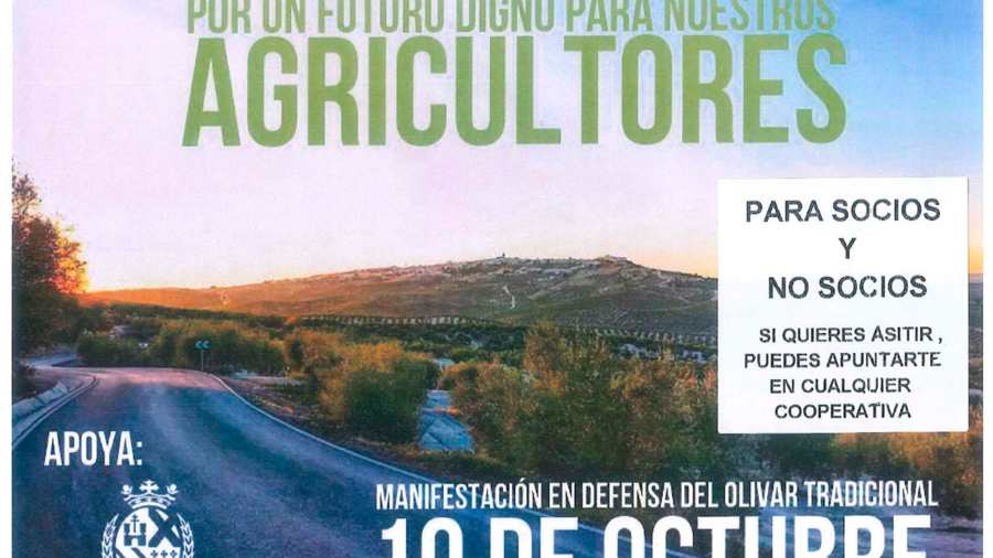 manifestacion-10-octubre